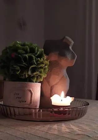 Cozy House Apartament *